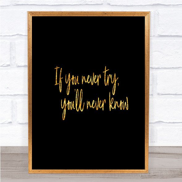 If You Never Try You'll Never Know Quote Print Poster Word Art Picture