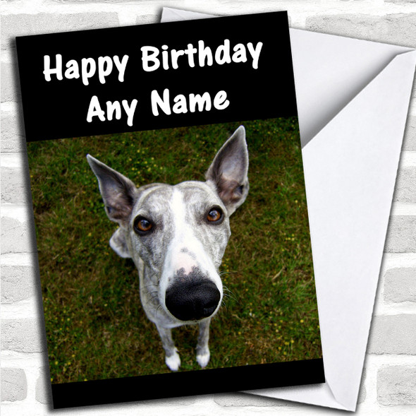 Whippet Dog Personalized Birthday Card