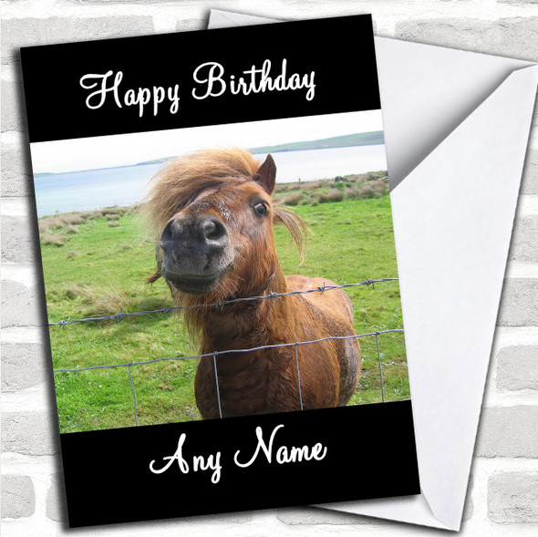 Shetland Pony Personalized Birthday Card