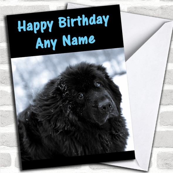 New Foundland Personalized Birthday Card