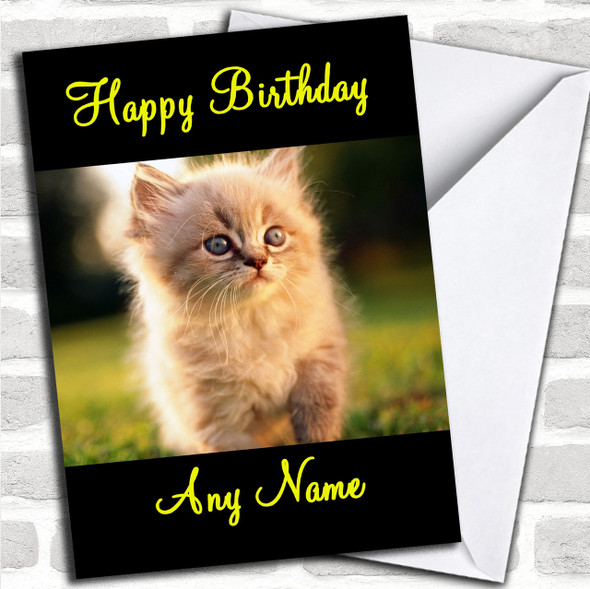 Beautiful Cute Kitten Personalized Birthday Card