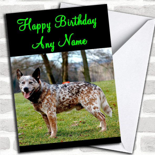 Australian Cattle Dog Personalized Birthday Card