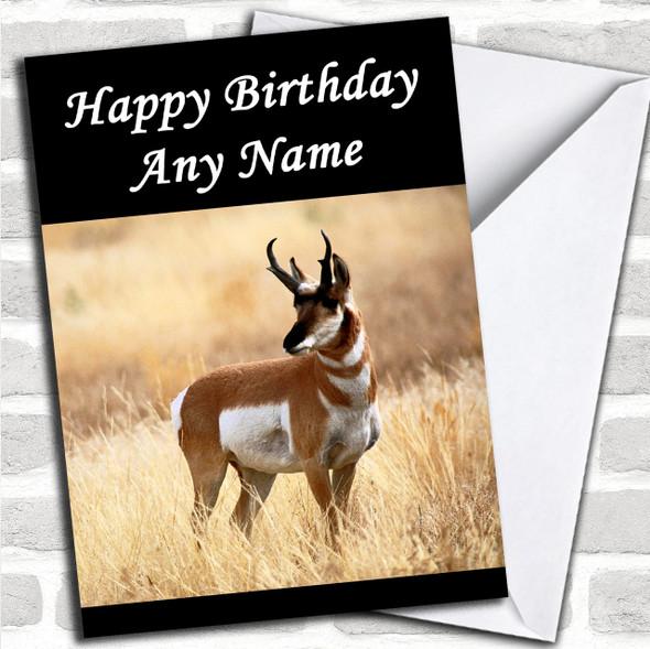 Antelope Personalized Birthday Card