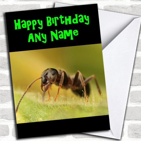 Ant Personalized Birthday Card