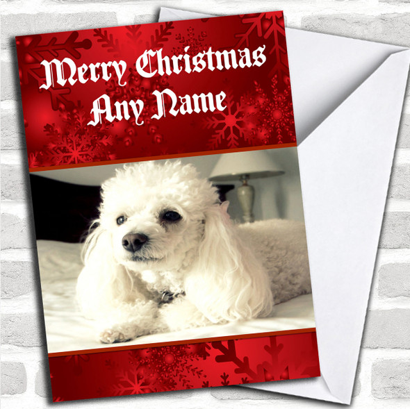 Poodle Dog Personalized Christmas Card