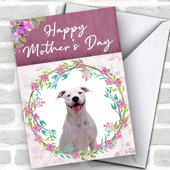 Dogo Argentino Dog Traditional Animal Personalized Mother's Day Card