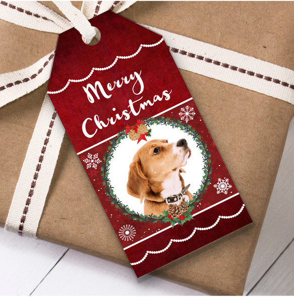 English Foxhound Dog Christmas Gift Tags