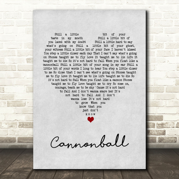 Damien Rice Cannonball Grey Heart Song Lyric Wall Art Print