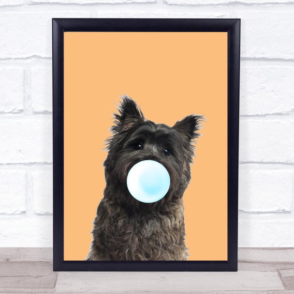 Cairn Terrier color Dog Peach Blue Gum Wall Art Print