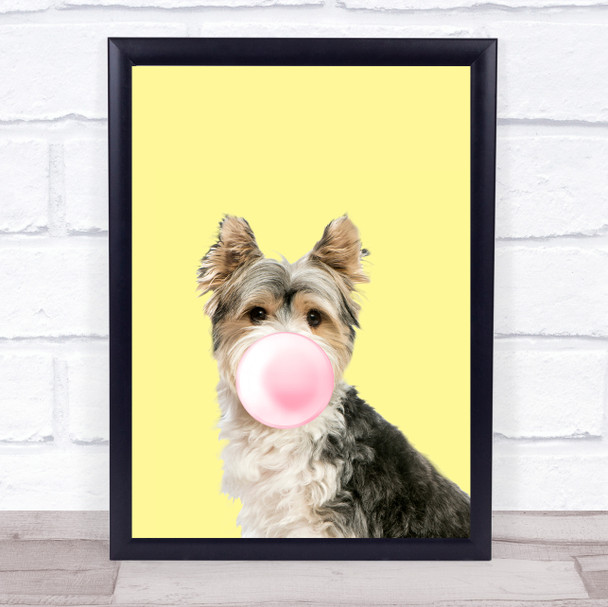 Biewer Terrier color Dog Yellow Pink Gum Wall Art Print