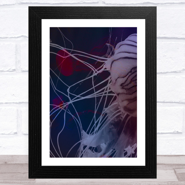 Abstract Purple Blue Red Jellyfish Wall Art Print