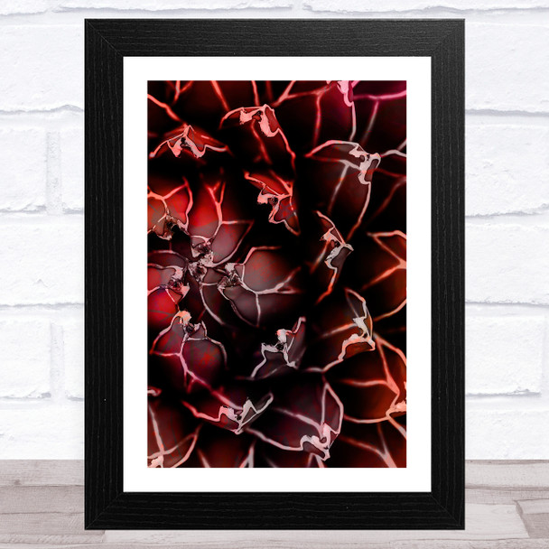 Greens & Reds Cactus Abstract Design 4 Wall Art Print