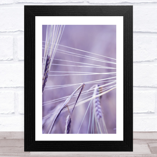 Ear Of Wheat Lilac Purple Design 1 Wall Art Print