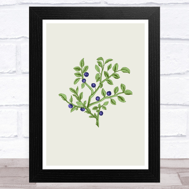 Herbs And Wild Flowers Design 10 Wall Art Print