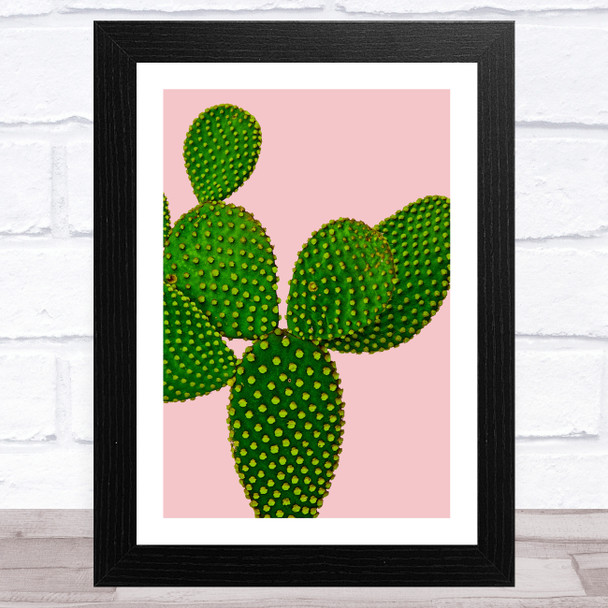 Green Cactus On Pink Background Wall Art Print