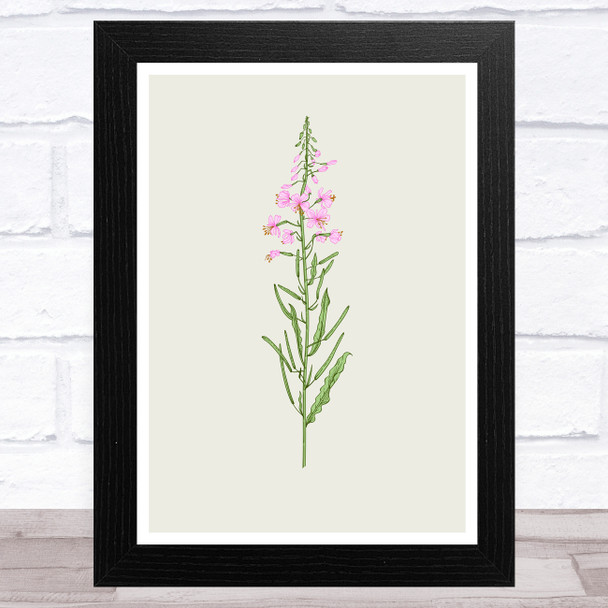 Herbs And Wild Flowers Design 2 Wall Art Print