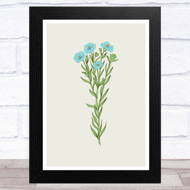 Herbs And Wild Flowers Design 3 Wall Art Print