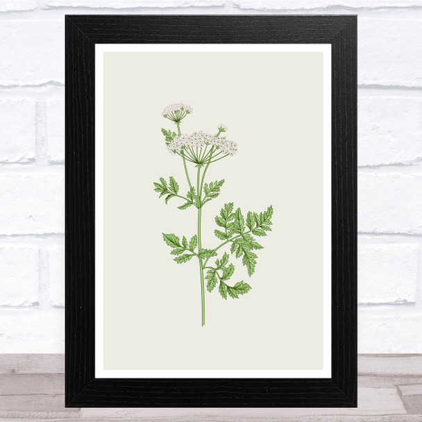 Herbs And Wild Flowers Design 5 Wall Art Print