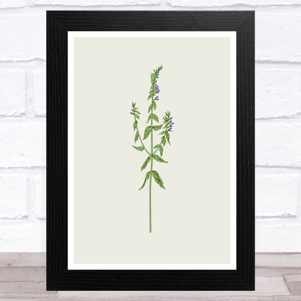 Herbs And Wild Flowers Design 6 Wall Art Print