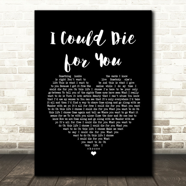 Red Hot Chili Peppers I Could Die for You Black Heart Song Lyric Music Art Print