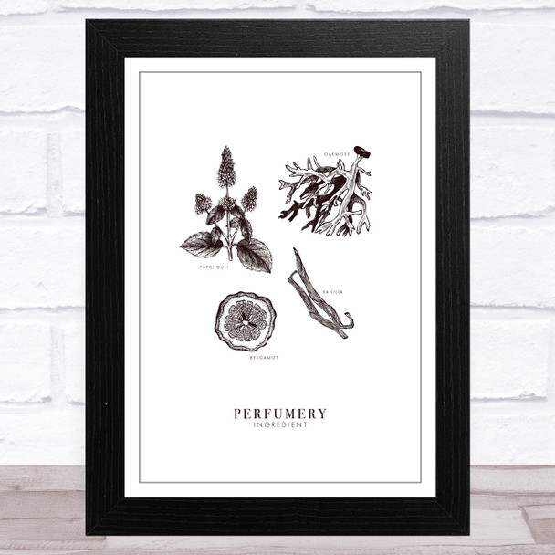 Vintage Hand Drawn Perfumery Design 5 Home Wall Art Print