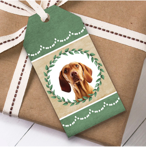 Hungarian Vizsla Pointer Dog Green Birthday Present Favor Gift Tags