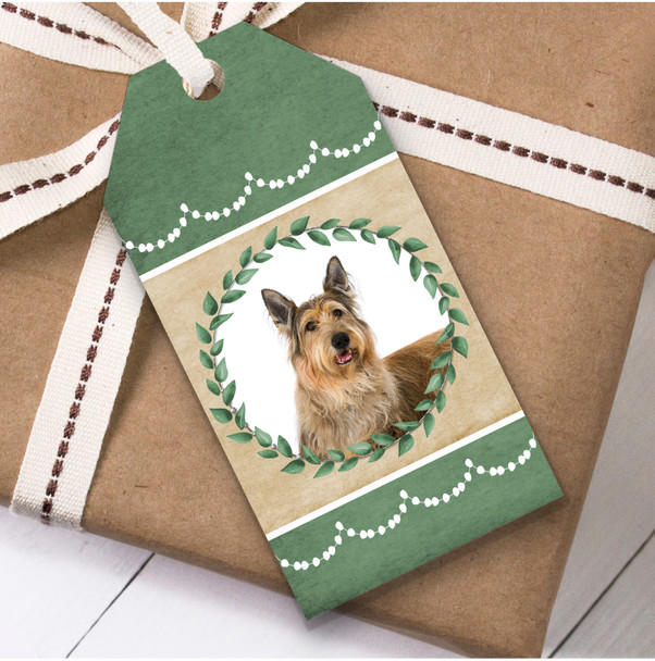 Berger De Picardie Dog Green Birthday Present Favor Gift Tags