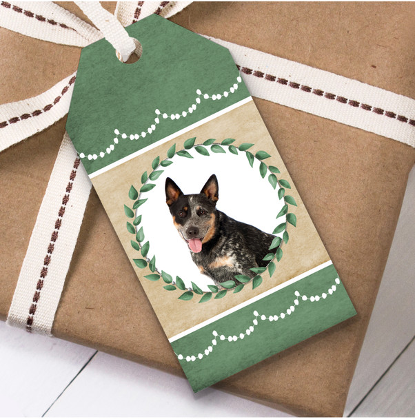 Australian Cattle Dog Green Birthday Present Favor Gift Tags