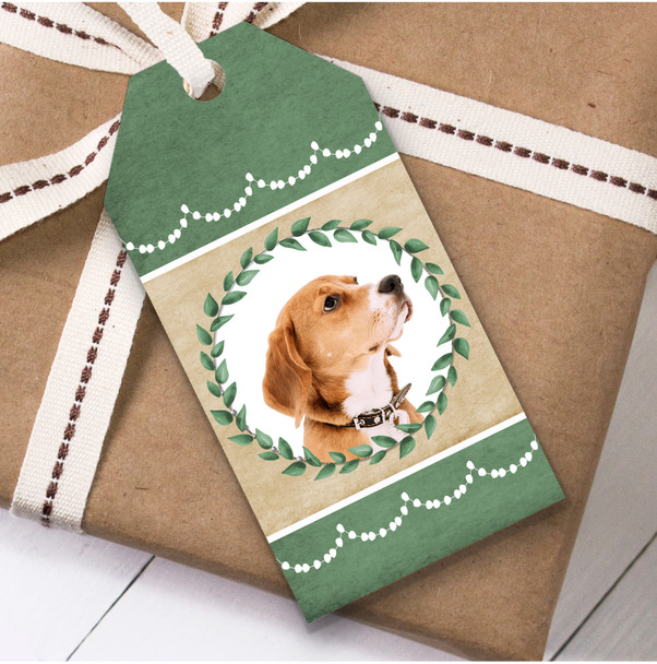 English Foxhound Dog Green Birthday Present Favor Gift Tags