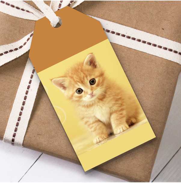 Yellow Cute Ginger Kitten Birthday Present Favor Gift Tags