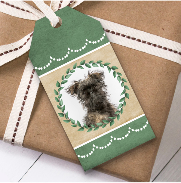 Affenpinscher Dog Green Birthday Present Favor Gift Tags