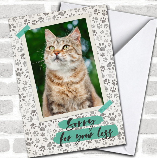 Paws Background Photo Frame Sorry For Your Loss Sympathy Personalized Card