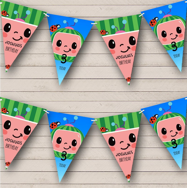 Cocomelon Kid's Birthday Cartoon Watermelon Personalized Party Banner Bunting