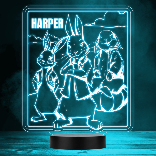 Peter Rabbit Lily Bobtail Benjamin Bunny LED Lamp Personalized Gift Night Light