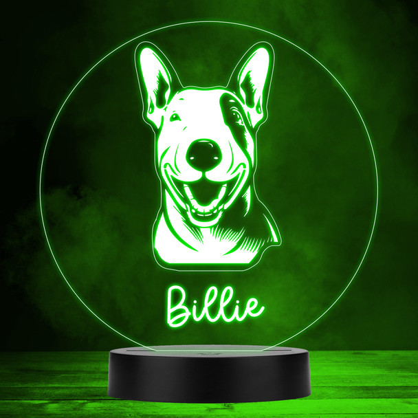 Bull Terrier Dog Pet MultiColor Personalized Gift Lamp Night Light Bull Terrier Dog Pet MultiColor Personalized Gift Lamp Night Light