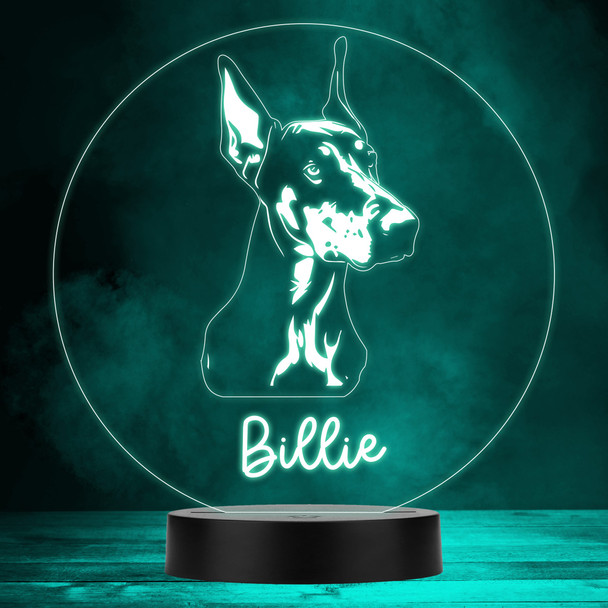 Dobermann Dog Pet Silhouette MultiColor Personalized Gift LED Lamp Night Light