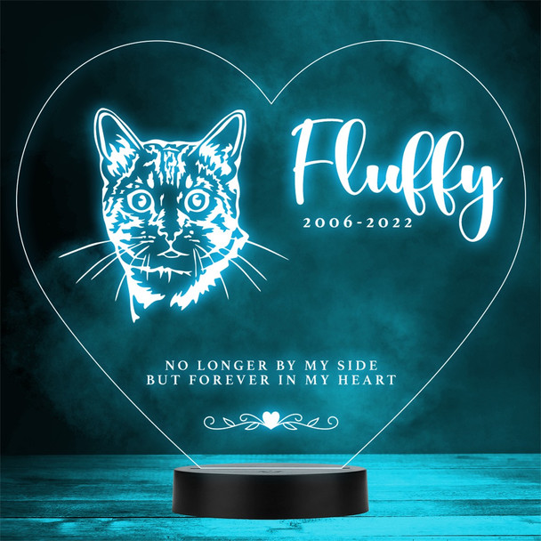 Cat Pet Loss Memorial Forever In My 1 Personalized Gift Color Lamp Night Light