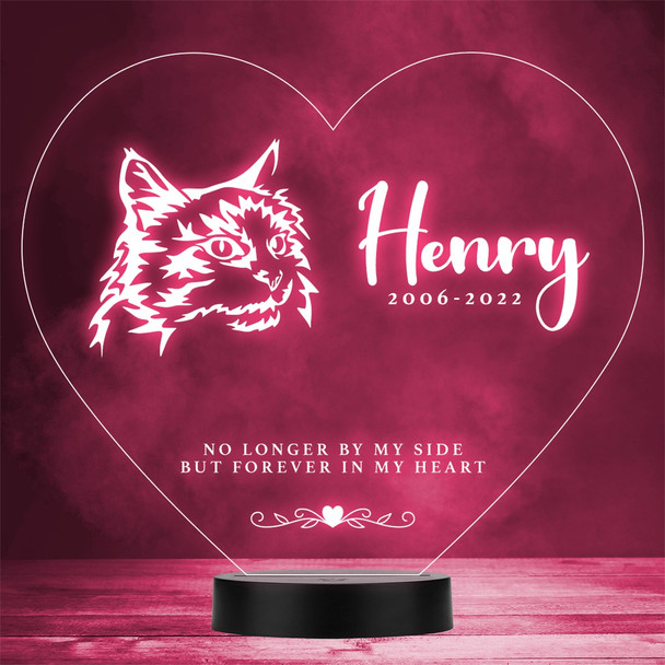Cat Pet Loss Memorial Forever In My 2 Personalized Gift Color Lamp Night Light Cat Pet Loss Memorial Forever In My 2 Personalized Gift Color Lamp Night Light