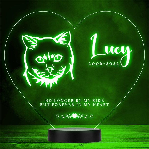 Cat Pet Loss Memorial Forever In My 8 Personalized Gift Color Lamp Night Light Cat Pet Loss Memorial Forever In My 8 Personalized Gift Color Lamp Night Light