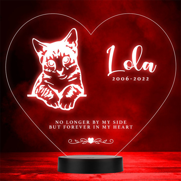 Cat Pet Loss Memorial Forever In My 10 Personalized Gift Color Lamp Night Light Cat Pet Loss Memorial Forever In My 10 Personalized Gift Color Lamp Night Light