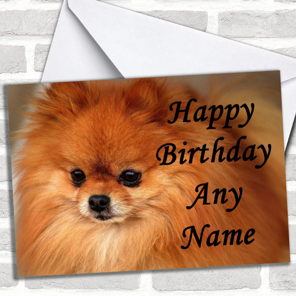 Pomeranian Puppy Dog Personalized Birthday Card