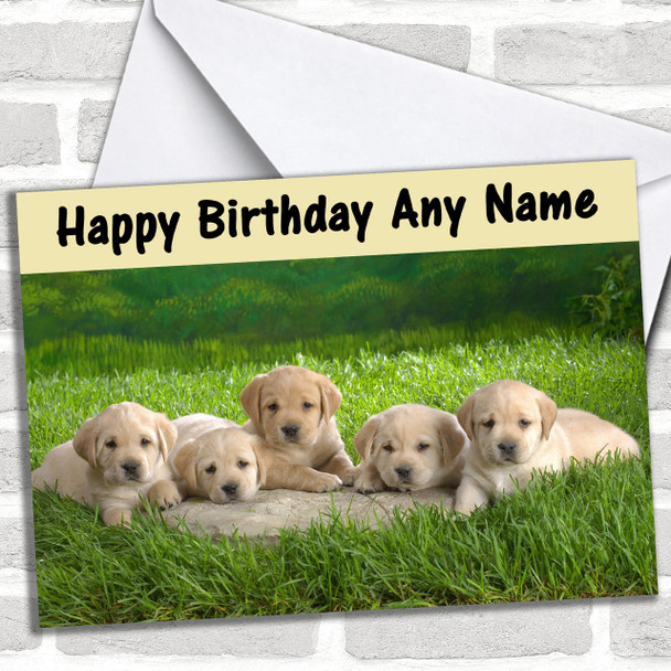 Five Labrador Puppy Dogs Personalized Birthday Card