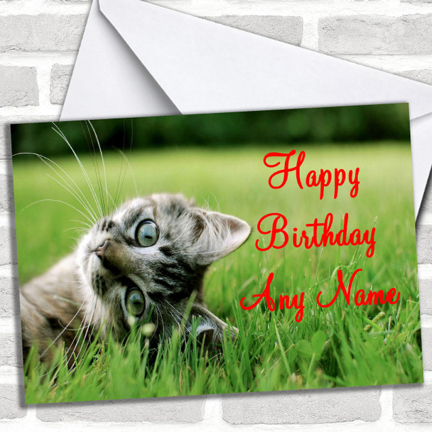 Playful Kitten Personalized Birthday Card
