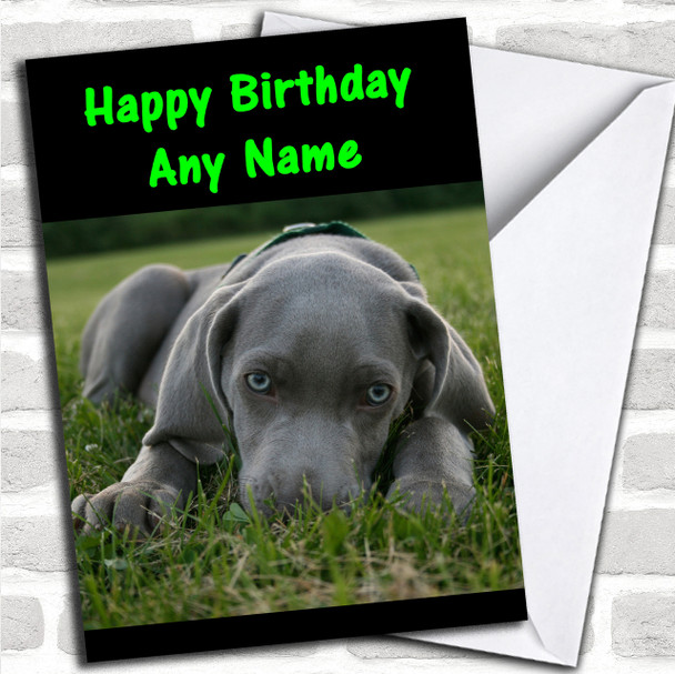 Weimaraner Dog Personalized Birthday Card