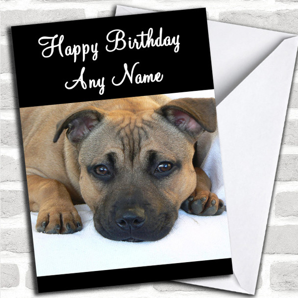 Staffordshire Bull Terrier Dog Personalized Birthday Card