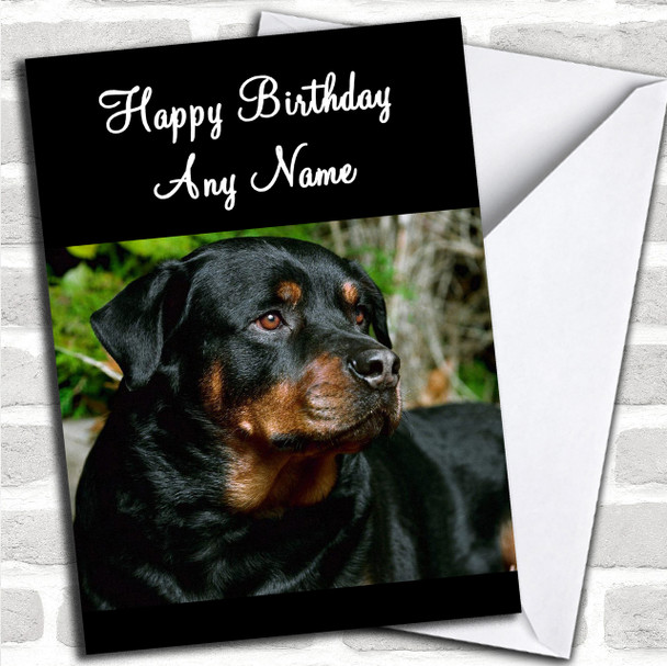 Rottweiler Dog Personalized Birthday Card