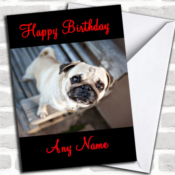 Cute Pug Personalized Birthday Card