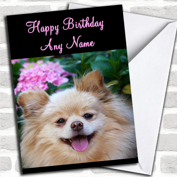 Pomeranian Dog Personalized Birthday Card