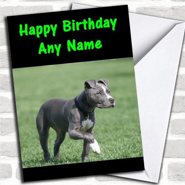 Pit Bull Dog Personalized Birthday Card