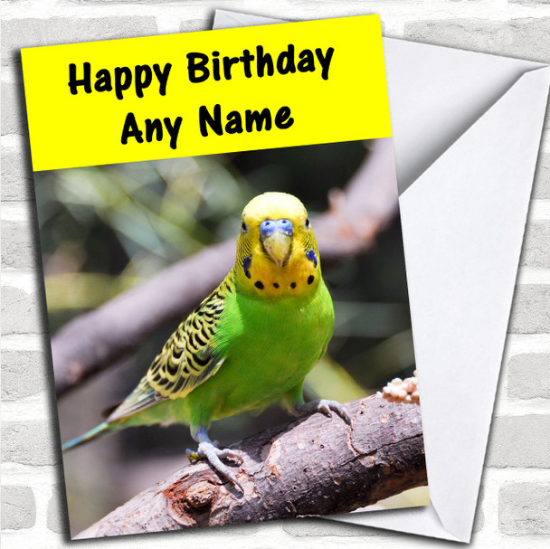 Parakeet Personalized Birthday Card